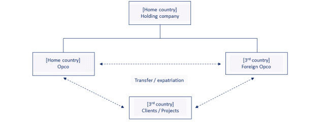 VISA Organizational Structure